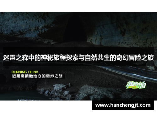 迷霭之森中的神秘旅程探索与自然共生的奇幻冒险之旅
