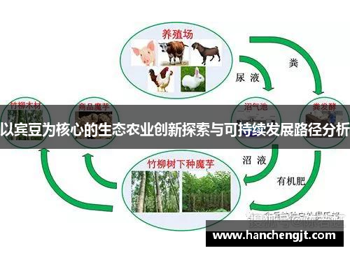 以宾豆为核心的生态农业创新探索与可持续发展路径分析