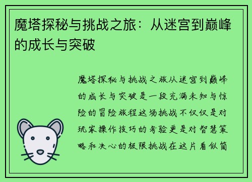 魔塔探秘与挑战之旅：从迷宫到巅峰的成长与突破